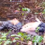 Heboh, Warga Desa Karang Sari Kecamatan Lubai Uku Kabupaten Muara Enim Temukan Mayat Mr X di Danau     